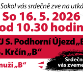 Muži doma