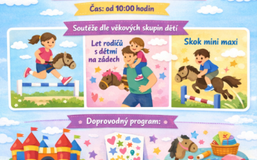 3. Hobby Horsing