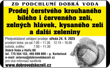 Prodej čerstvého krouhaného zelí