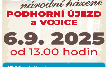 100 let národní házené