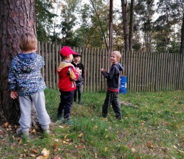 2019 - Dýně