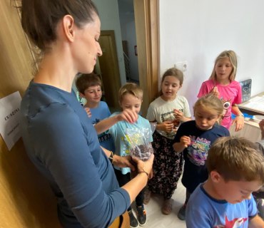 Velké knižní stěhování