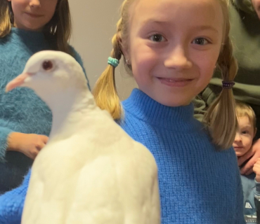 Kouzlení s kouzelníky